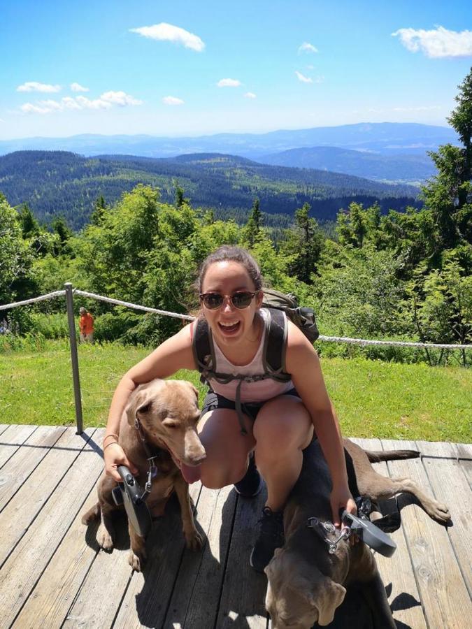Idyllisch Gelegene Ferienwohnung Im Herzen Des Bayerischen Waldes Zachenberg Eksteriør bilde